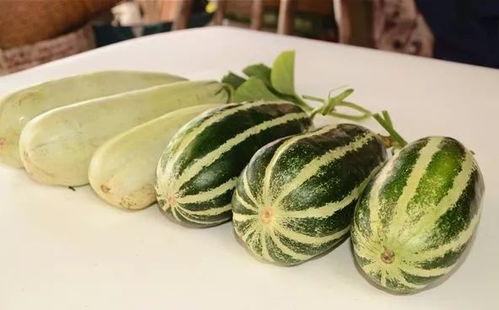 晨曦网红吃瓜链接,真相与争议并存 第2张 晨曦网红吃瓜链接,真相与争议并存 第2张